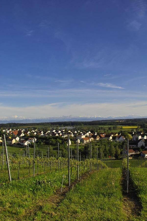 Fewo Schillerstrasse Markdorf Eksteriør bilde